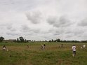 P7045484