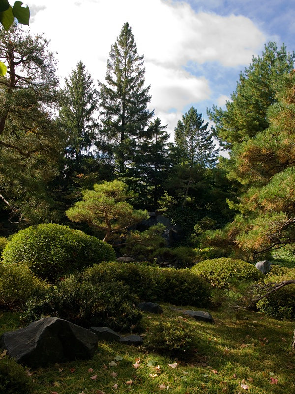 P9295841.jpg