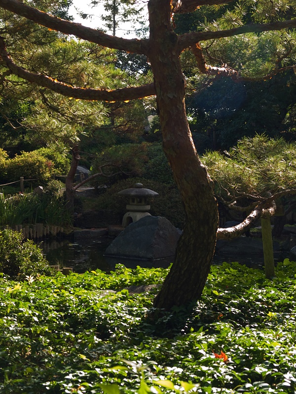 P9295842.jpg