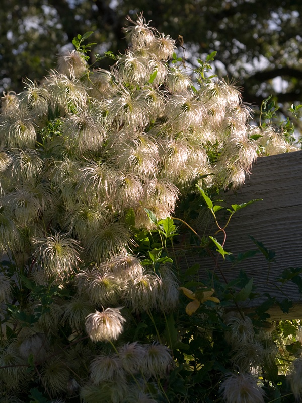P9295851.jpg
