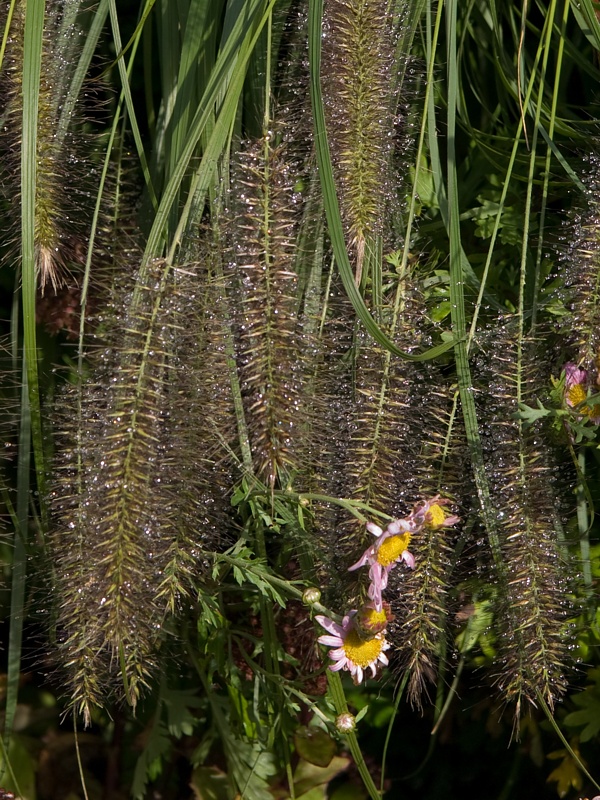 P9295859.jpg