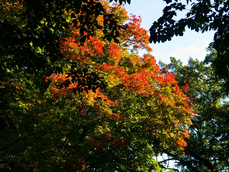 P9295887.jpg