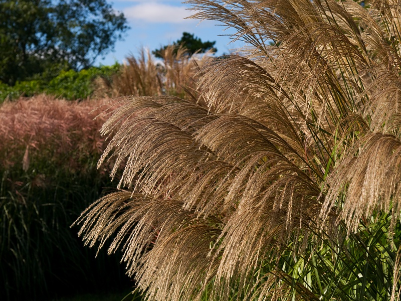 P9295911.jpg