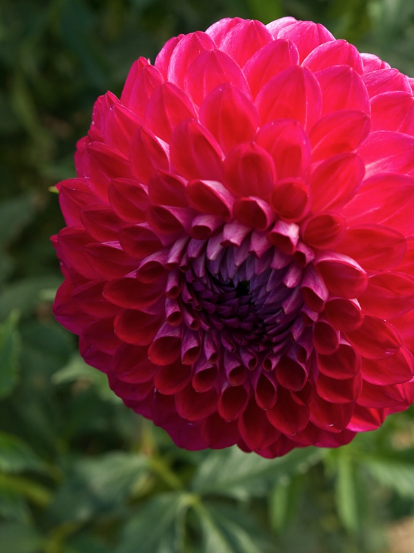 P9295991.jpg