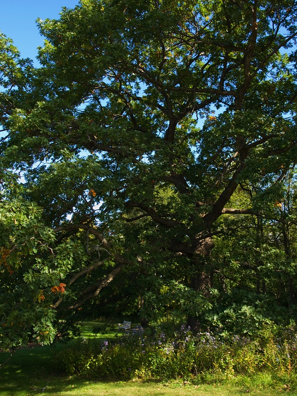 P9296005.jpg