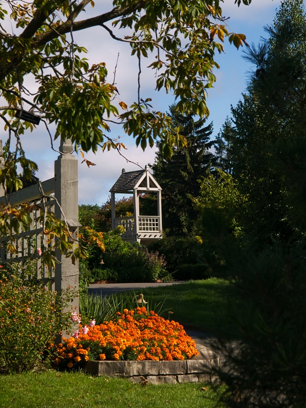 P9296030.jpg