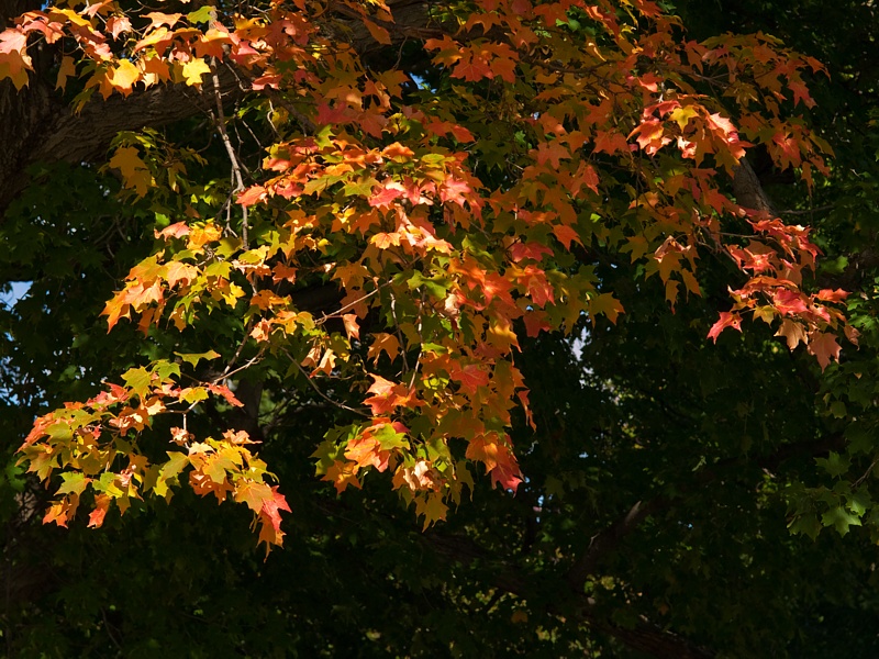 P9296032.jpg