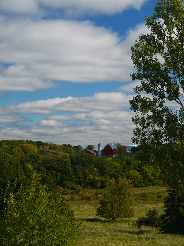 P9296036.jpg