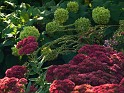 P9295857