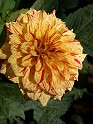 P9295879