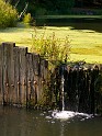 P9295881