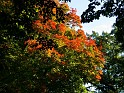 P9295887