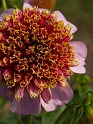 P9295986