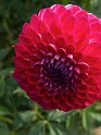 P9295991