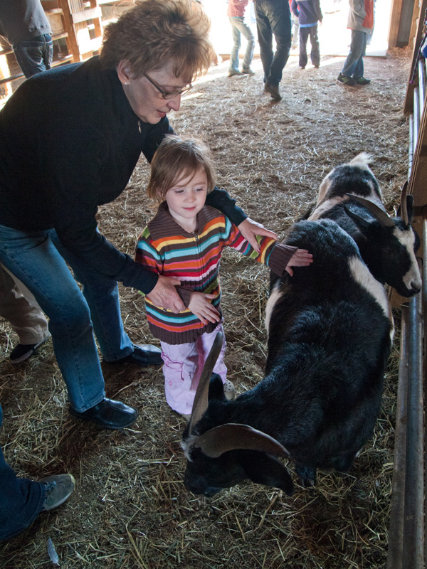 PA153354.jpg - Hello, Mr. Goat