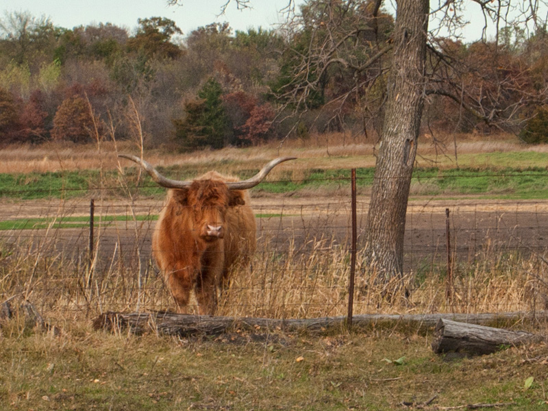 PA153540.jpg - What are those crazy humans up to now?