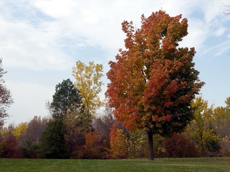 PA118706.jpg