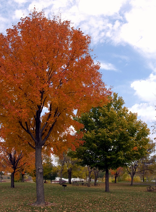 PA118711.JPG