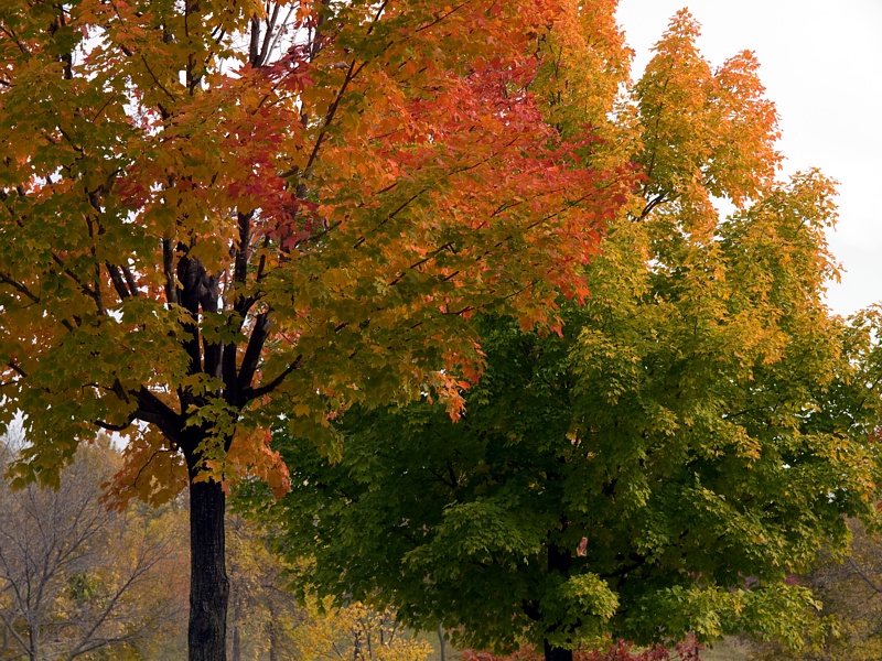 PA118714.jpg
