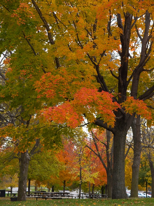PA118724.jpg