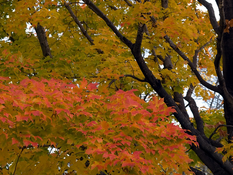 PA118741.jpg