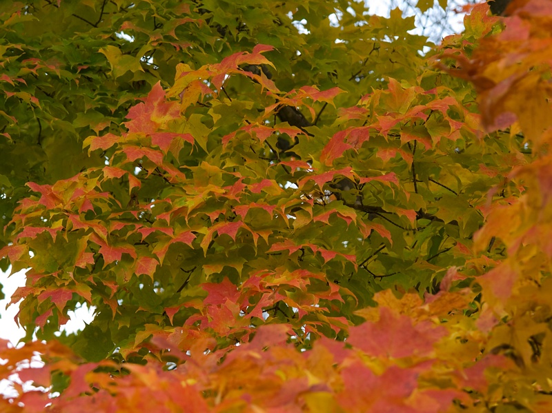 PA118742.jpg