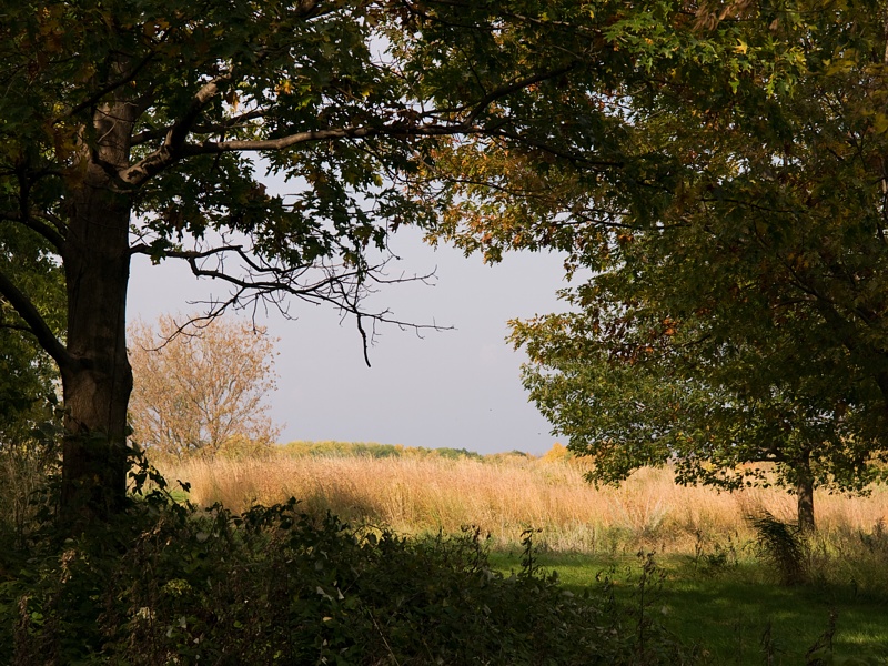 PA118759.jpg