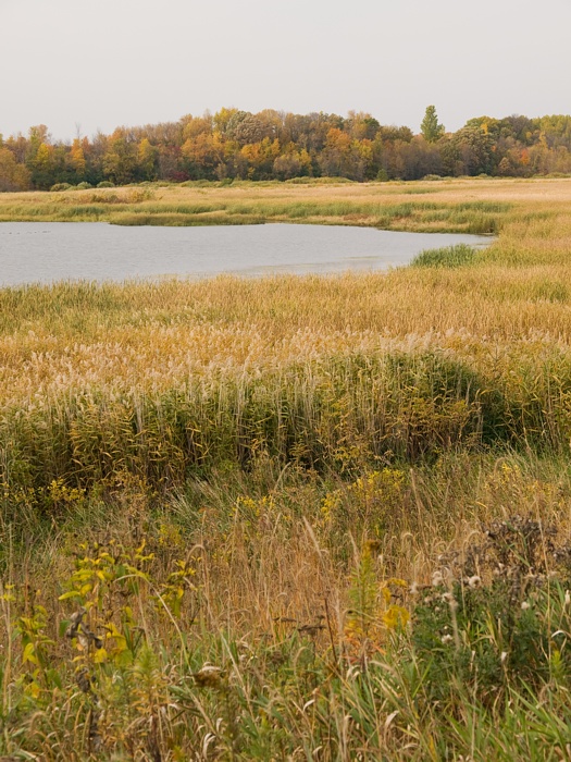 PA118770.jpg