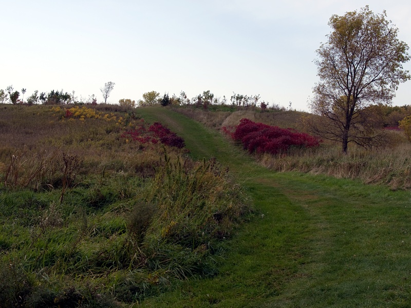 PA118848.jpg