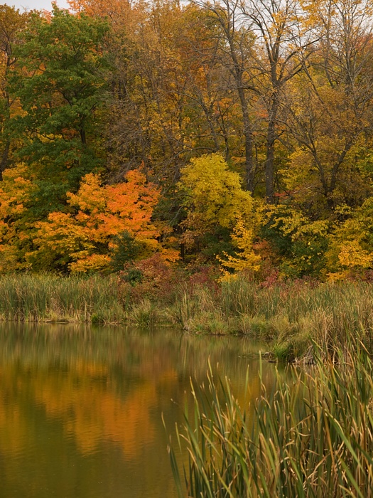 PA118867.jpg