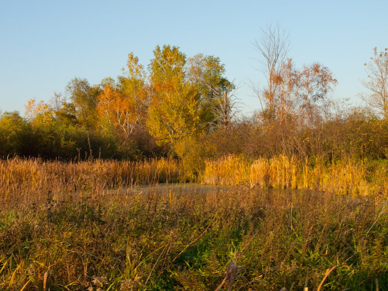 PA089764.jpg