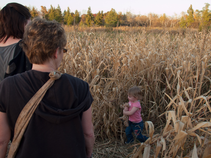 PA089825.jpg - Into the corn maze