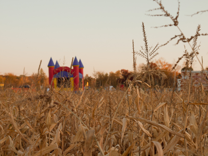 PA089842.jpg