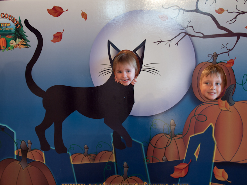PA089890.jpg - Meow!