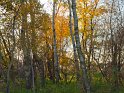 PA089775