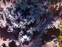 P7035323