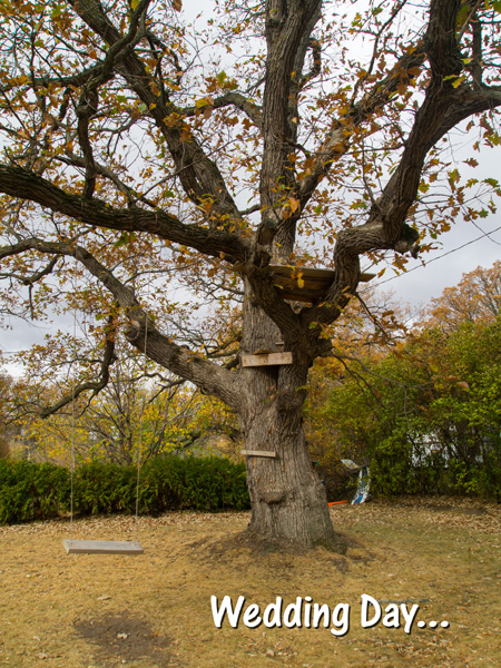 PA060041.jpg