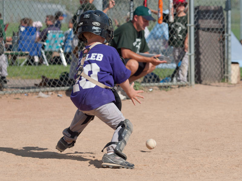P7256487.jpg