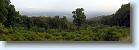 P7290651 * Day three, and the Skyline Drive through the Blue Ridge Mountains * 1563 x 500 * (348KB)