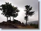 P7290673 * 600 x 451 * (127KB)
