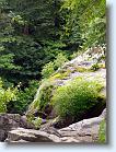 P7290696 * At the end of a mile hike to see a waterfall * 451 x 600 * (221KB)