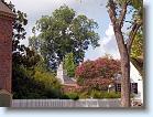 P7310876 * We spent two days in Colonial Williamsburg * 600 x 451 * (206KB)