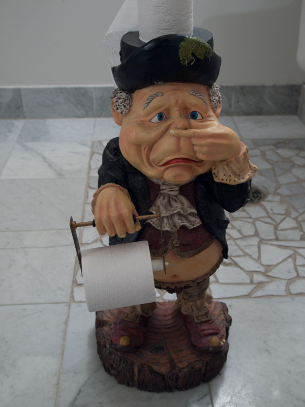 11082404.jpg - TP holder in the bathroom