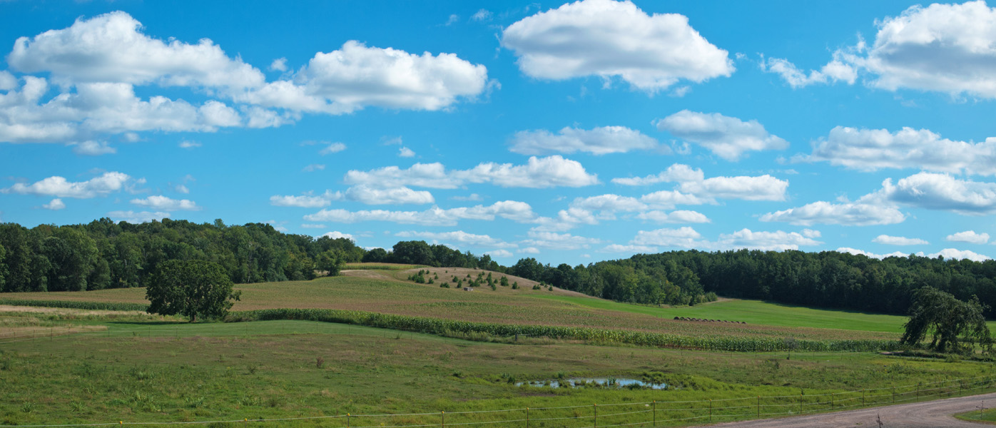 11082415.jpg - Beautiful landscape surrounds the vineyard