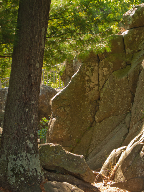 11082434.jpg - Eileen found faces in the rock